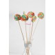 Sucettes x6 Lollipops rainbow