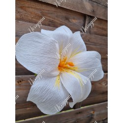 Fleur de Lys blanche