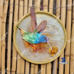 Veilleuse murale colibri