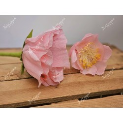 Boîte à dragées champetre fleur rose pour baptême, mariage