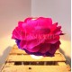 Lampe Fleur rose– Éclairage Poétique et Unique pour Décoration