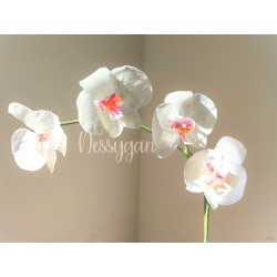 Orchidée Phalaenopsis Artisanale – Une Fleur Qui Ne Fane Jamais main