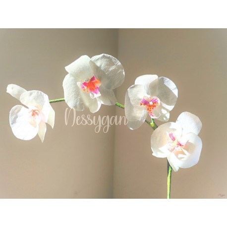 Orchidée Phalaenopsis Artisanale – Une Fleur Qui Ne Fane Jamais main