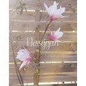 Branche de Magnolia – Élégance Naturelle et Fait Main